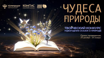 Фонд Компас запускает конкурс Чудеса природы Фонд Компас запускает конкурс Чудеса природы.