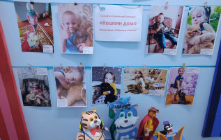 Кошкин дом Кошкин дом.