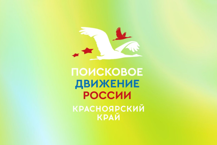 Поисковые движения: Память и поддержка общества (копия) Поисковые движения: Память и поддержка общества (копия).